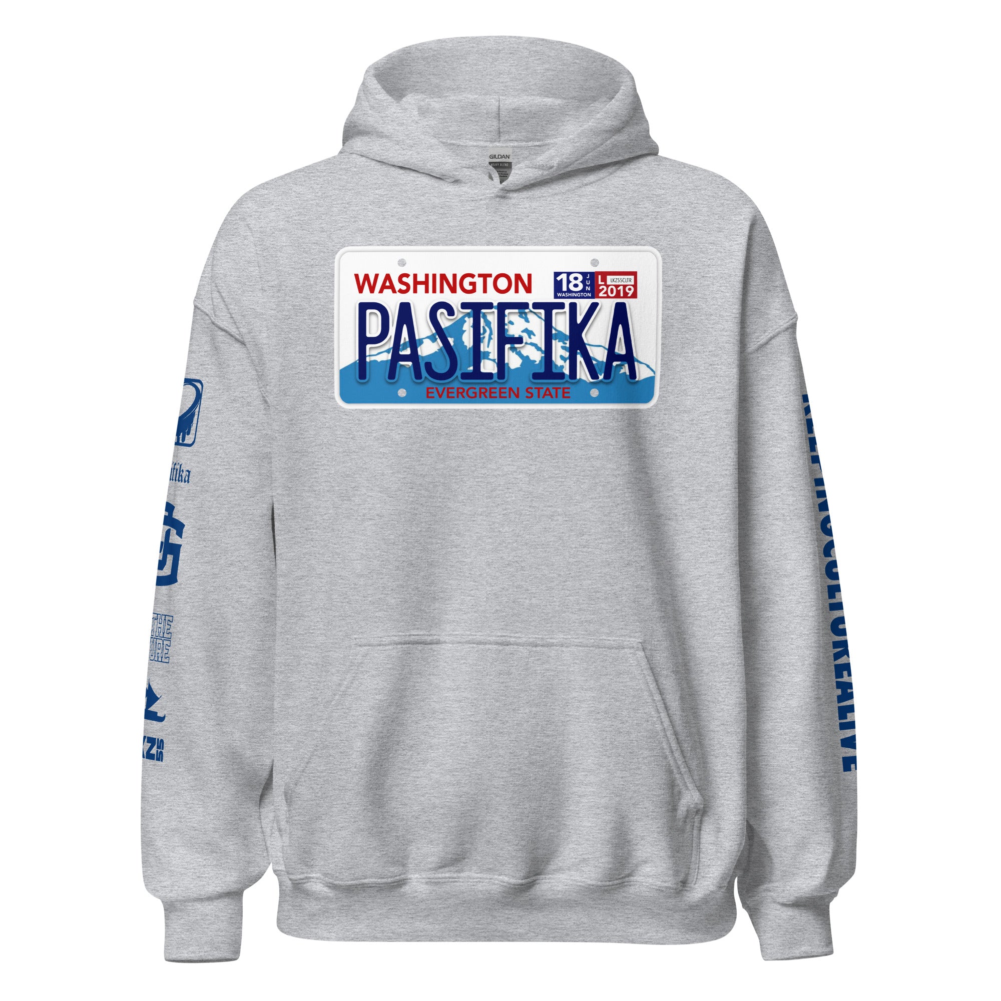 LICENSE PLATE WASHINGTON Unisex Hoodie